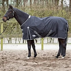 Harry's Horse Thor 0 Gram + Fleece Zwart -Exporteren Paard Gear Winkel 4041345.e3b33c