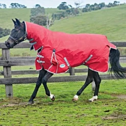 Weatherbeeta Lite Turnout Rug Combo Neck Comfitec Classic 0g Red/Silver/Navy -Exporteren Paard Gear Winkel 44638269.12a1ef