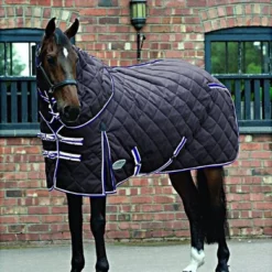 Weatherbeeta Heavy Stable Rug Comfitec Comfitec 1000D Diamond Quilt Detach-A-Neck 360g Charcoal/Blue/White 22 Weatherbeeta Heavy Stable Rug Comfitec Comfitec 1000D Diamond Quilt Detach-A-Neck 360g Charcoal/Blue/White -Exporteren Paard Gear Winkel 44638677.a10c22