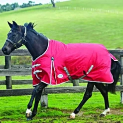 Weatherbeeta Lite Turnout Rug Comfitec Classic Standard Neck 0g Red/Silver/Navy -Exporteren Paard Gear Winkel 44639265.d8f7ec