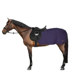 Kentucky Horsewear Kentucky Quarter Rug 160g Navy -Exporteren Paard Gear Winkel 44669507.54b80c