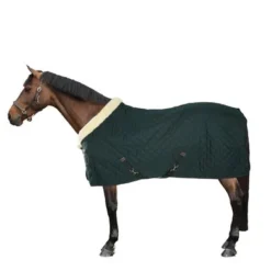 Kentucky Horsewear Kentucky Showdeken 160g Donkergroen -Exporteren Paard Gear Winkel 447434202.c93a77