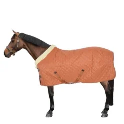 Kentucky Horsewear Kentucky Showdeken 160g Autumn Orange -Exporteren Paard Gear Winkel 44850161.1944f5
