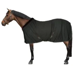 EQUITHÈME Cooler Teddy Groen/Bruin -Exporteren Paard Gear Winkel 44965339.f65972