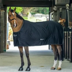 Bucas Shamrock Power Black/Silver -Exporteren Paard Gear Winkel 60415 64.14723f