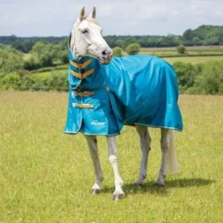 Shires Turnout Highlander Original Lite Combo 0g Teal -Exporteren Paard Gear Winkel 9351 teal.f27f7f