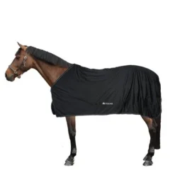 Exporteren Paard Gear Winkel -Exporteren Paard Gear Winkel a1010913.33c77c