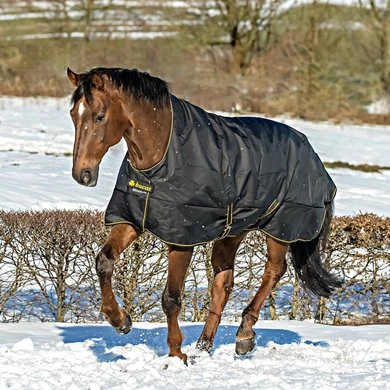 Bucas Irish Turnout Light Highneck 50g Black/Gold 1 Bucas Irish Turnout Light Highneck 50g Black/Gold