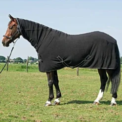 Harry Horse Fleecedeken Met Hals Zwart -Exporteren Paard Gear Winkel a1153960.6c2d95