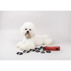 Aesculap Tondeuse Favorita CL GT206 + Extra Accu En Oplader -Exporteren Paard Gear Winkel aesculap gt206 favorita cl 7.b14621