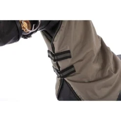 Horka Dekenhals Dime 600D, 100g Gevoerd Dark Olijf -Exporteren Paard Gear Winkel agradi 44543912 2.d1438a 1