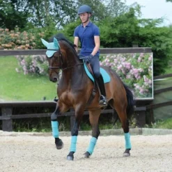 Weatherbeeta Zadeldekje Prime Springen Turquoise -Exporteren Paard Gear Winkel agradi 44637887 7.561b8a