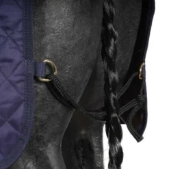 Kentucky Horsewear Kentucky Stapmolen Deken 160g Navy 19 Kentucky Horsewear Kentucky Stapmolen Deken 160g Navy -Exporteren Paard Gear Winkel agradi 44669515 5.0f715c