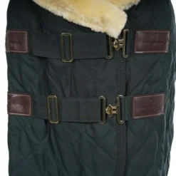 Kentucky Horsewear Kentucky Showdeken 160g Donkergroen -Exporteren Paard Gear Winkel agradi 44743420 1.e401ce