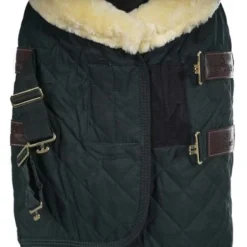 Kentucky Horsewear Kentucky Showdeken 160g Donkergroen -Exporteren Paard Gear Winkel agradi 44743420 2.e308e7