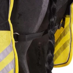 EQUITHÈME Turnout Rug Tyrex 600D 0g Zwart/Geel 18 EQUITHÈME Turnout Rug Tyrex 600D 0g Zwart/Geel -Exporteren Paard Gear Winkel agradi 44818360 6.0e8faa 1