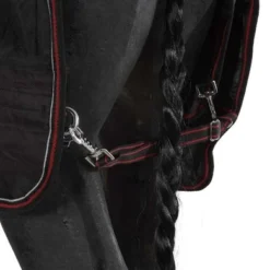 Catago Deken Dual Pro 0/100g Ijslander Zwart -Exporteren Paard Gear Winkel agradi 44830869 7.98c770