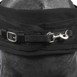 Catago Walker FIR-Tech Zwart -Exporteren Paard Gear Winkel agradi 44831125 1.a4c7f8