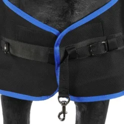 Veredus Therapiedeken Magnetik Rug Zwart -Exporteren Paard Gear Winkel agradi 44833520 2.c6ed2a