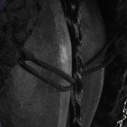 HB Showtime Showdeken Desire160gr Steelblue -Exporteren Paard Gear Winkel agradi 44843426 6.84dd7e