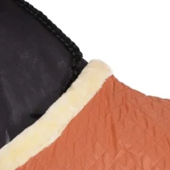 Kentucky Horsewear Kentucky Showdeken 160g Autumn Orange -Exporteren Paard Gear Winkel agradi 44850161 3.4a72a1