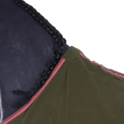 HKM Zweetdeken Equestrian Donkergroen/Neon Koraal 165/215 13 HKM Zweetdeken Equestrian Donkergroen/Neon Koraal 165/215 -Exporteren Paard Gear Winkel agradi 44871300 3.682c92