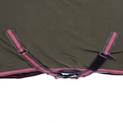HKM Zweetdeken Equestrian Donkergroen/Neon Koraal 165/215 15 HKM Zweetdeken Equestrian Donkergroen/Neon Koraal 165/215 -Exporteren Paard Gear Winkel agradi 44871300 5.56cd49