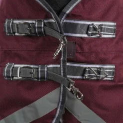 Weatherbeeta Regendeken Comfitec Plus Dynamic II Standard Neck Lite Maroon/Grijs/Wit 15 Weatherbeeta Regendeken Comfitec Plus Dynamic II Standard Neck Lite Maroon/Grijs/Wit -Exporteren Paard Gear Winkel agradi 44874178 2.77902f