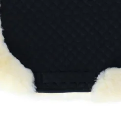 F.R.A. Volbontsjabrak De Luxe Veelzijdigheid Zwart/Naturel Universeel -Exporteren Paard Gear Winkel agradi 44874584 4.e92d46