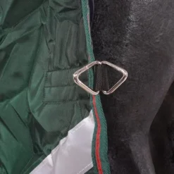 Rambo Original Turnout Lite L/A 100g Groen/Rood 22 Rambo Original Turnout Lite L/A 100g Groen/Rood -Exporteren Paard Gear Winkel agradi 44879703 7.69d22a