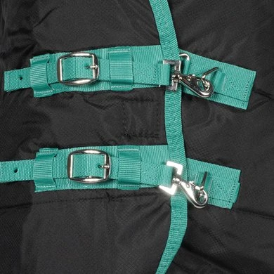 Weatherbeeta Staldeken Green-Tec Stable Combo Neck Medium/Lite 150D 150g Zwart/Bottle Green 2 Weatherbeeta Staldeken Green-Tec Stable Combo Neck Medium/Lite 150D 150g Zwart/Bottle Green - Afbeelding 2
