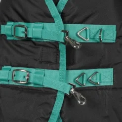 Weatherbeeta Staldeken Green-Tec Stable Medium/Lite 150D 150g Zwart/Bottle Green -Exporteren Paard Gear Winkel agradi 44881822 2.ef7414