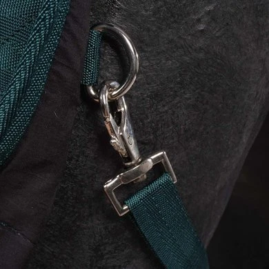 EQUITHÈME Staldeken Teddy 200g Groen/Bruin 7 EQUITHÈME Staldeken Teddy 200g Groen/Bruin - Afbeelding 7