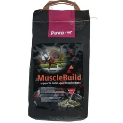 Pavo MuscleBuild -Exporteren Paard Gear Winkel agradi 44917194 1.46d9ac
