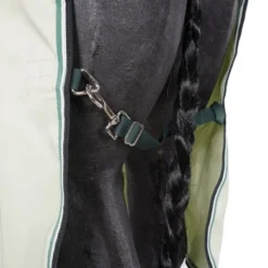 Rambo Hoody XL Groen/Sage/Beige -Exporteren Paard Gear Winkel agradi 44937446 3.17f62e