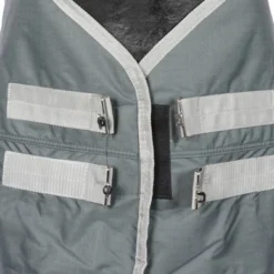 EQUITHÈME Regendeken Tyrex 600D Gerecycled 50g Groen 13 EQUITHÈME Regendeken Tyrex 600D Gerecycled 50g Groen -Exporteren Paard Gear Winkel agradi 44942601 2.0322c3