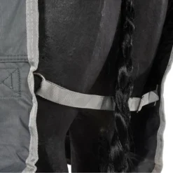 EQUITHÈME Regendeken Tyrex 600D Gerecycled 50g Groen 16 EQUITHÈME Regendeken Tyrex 600D Gerecycled 50g Groen -Exporteren Paard Gear Winkel agradi 44942601 5.376d29