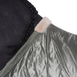 Eskadron Zweetdeken Platinum 2022 Satin Ashgreen -Exporteren Paard Gear Winkel agradi 44943691 3.dbd0a8