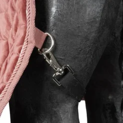 HB Showdeken Velvet Peach Tropical 160g Peach -Exporteren Paard Gear Winkel agradi 44987702 4.cc5ea9