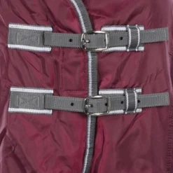 Weatherbeeta Fleecedeken Cooler Standard Neck Maroon/Grijs/Wit 12 Weatherbeeta Fleecedeken Cooler Standard Neck Maroon/Grijs/Wit -Exporteren Paard Gear Winkel agradi 45009071 1.08f295