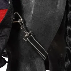 Weatherbeeta Winterdeken Comfitec Plus Dynamic II Detach-A-Neck Medium Zwart/Rood/Zilver 22 Weatherbeeta Winterdeken Comfitec Plus Dynamic II Detach-A-Neck Medium Zwart/Rood/Zilver -Exporteren Paard Gear Winkel agradi 45009427 9.014e11