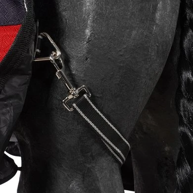 Weatherbeeta Winterdeken Comfitec Plus Dynamic II Detach-A-Neck Medium Zwart/Rood/Zilver 10 Weatherbeeta Winterdeken Comfitec Plus Dynamic II Detach-A-Neck Medium Zwart/Rood/Zilver - Afbeelding 10