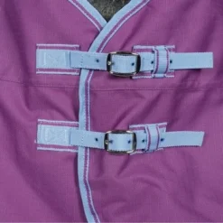 Weatherbeeta Comfitec Essential Standard Neck Lite Violet/Blauw 12 Weatherbeeta Comfitec Essential Standard Neck Lite Violet/Blauw -Exporteren Paard Gear Winkel agradi 45075992 1.499f82