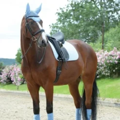 Weatherbeeta Zadeldekje Prime Dressuur Ice Blue -Exporteren Paard Gear Winkel agradi 45076071 8.54ff80