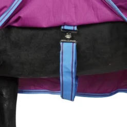 Weatherbeeta Zweetdeken Scrim Standard Neck Violet/Blauw -Exporteren Paard Gear Winkel agradi 45076109 4.ed3280
