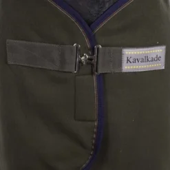 Kavalkade Zweetdeken Ecoline Fleece Dennengroen -Exporteren Paard Gear Winkel agradi a1152195 1.cf01b0