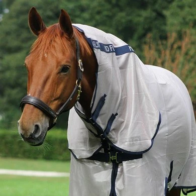 Mio Pony Fly Rug Bronze/Navy 3 Mio Pony Fly Rug Bronze/Navy - Afbeelding 3