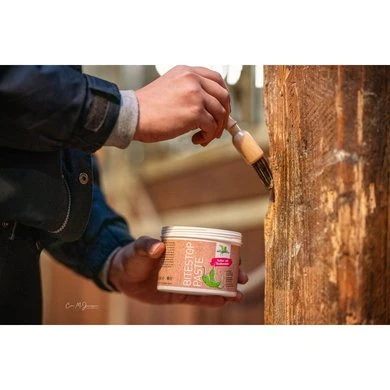 Bense & Eicke BiteStop Pasta 4 Bense & Eicke BiteStop Pasta - Afbeelding 4