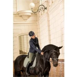 BR Zadeldekje Danio Dressuur Agave Groen 7 BR Zadeldekje Danio Dressuur Agave Groen -Exporteren Paard Gear Winkel bieman166222 g074 41.afef5c