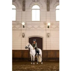 BR Zadeldekje Damin 4-EH Dressuur Inkwell -Exporteren Paard Gear Winkel bieman166225 l238 41.39818a